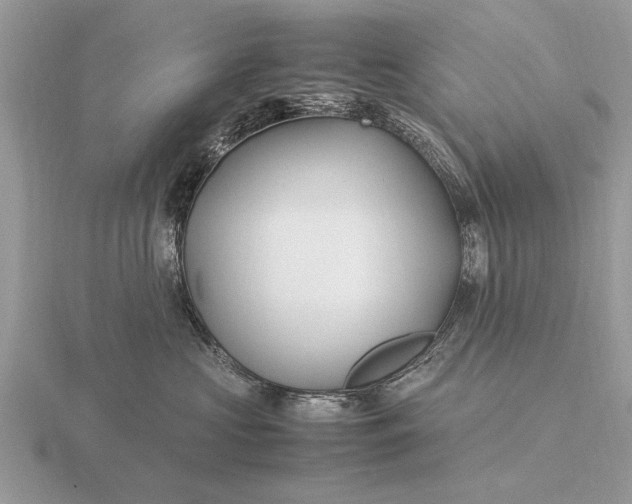 X0000116270573200912141331