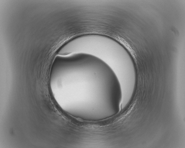 X0000116270577200912141330