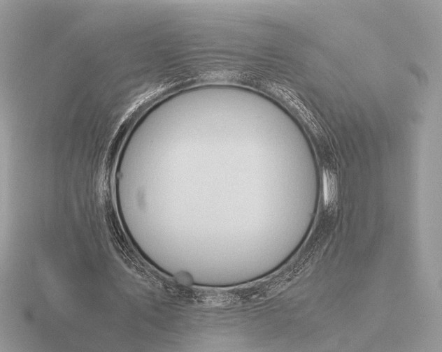 X0000116270579200912141330
