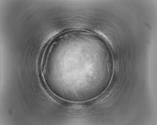 X0000116270581200912141330