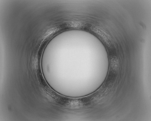 X0000116270587200912141330