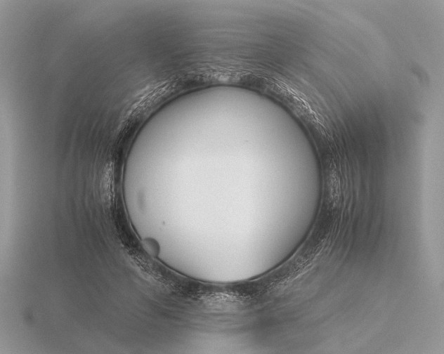X0000116270594200912141330