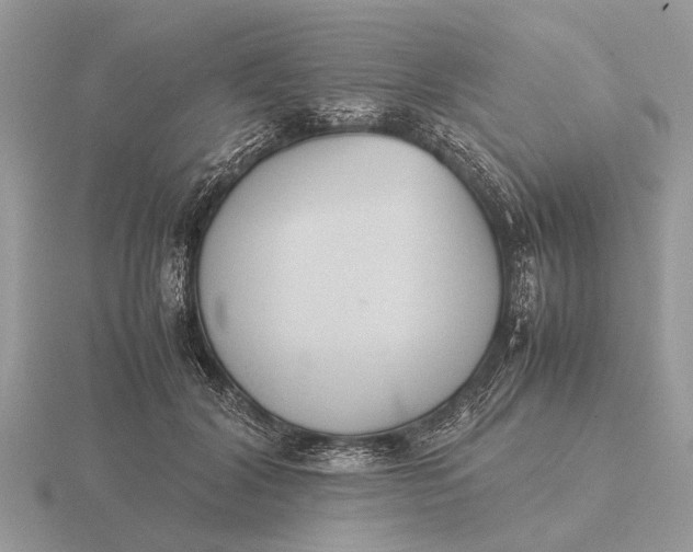 X0000116270604200912141330