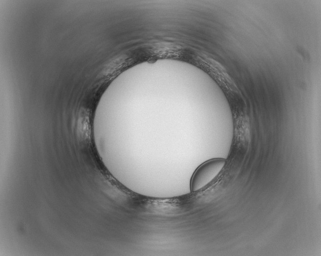 X0000116270622200912141329