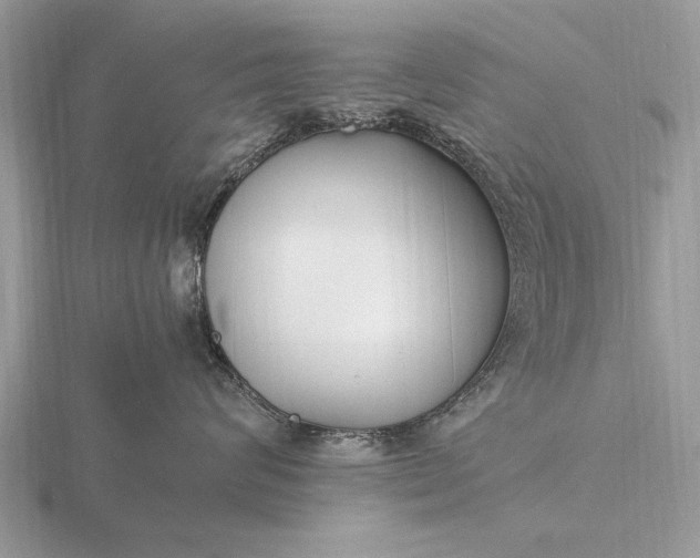X0000116270624200912141329
