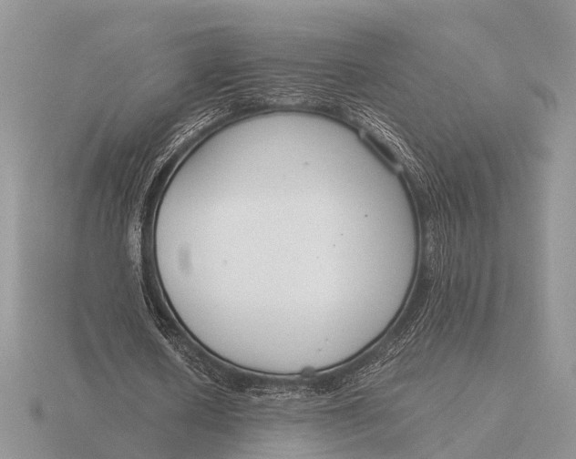 X0000116270626200912141329