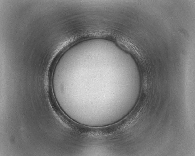 X0000116270630200912141329