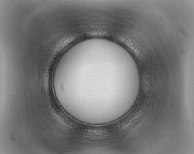 X0000116270631200912141329