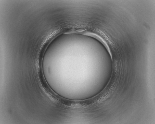 X0000116270634200912141329