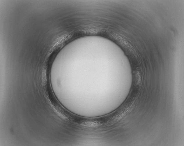 X0000116270638200912141329