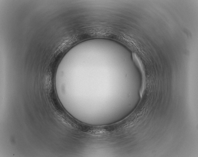 X0000116270642200912141329