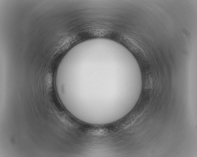 X0000116270646200912141329