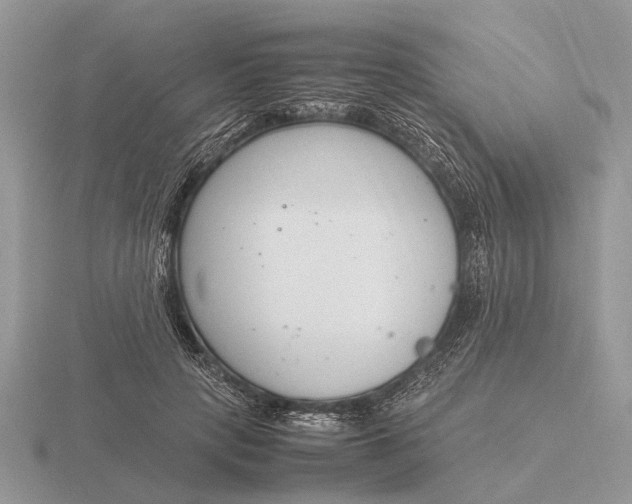 X0000116270649200912141329