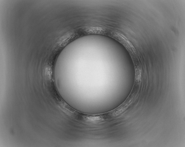 X0000116270669200912141329