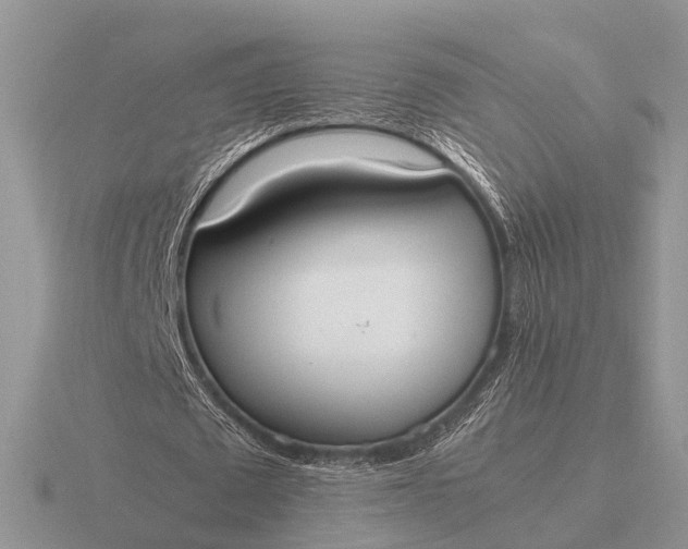 X0000116270673200912141329