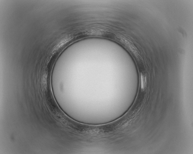 X0000116270675200912141329