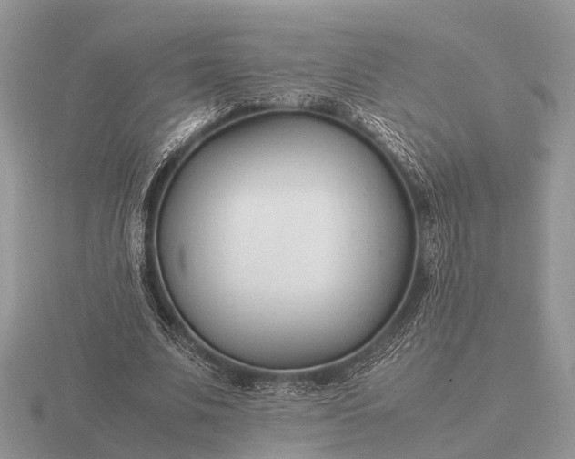 X0000116270679200912141329