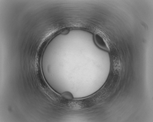 X0000116270680200912141329