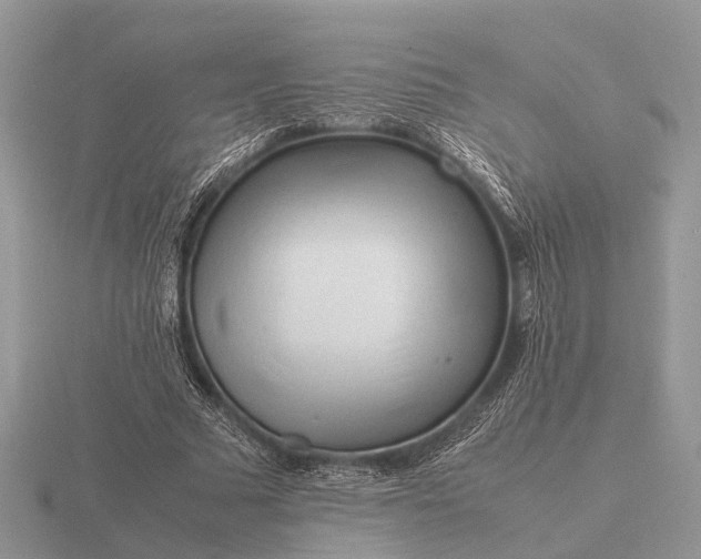 X0000116270681200912141329