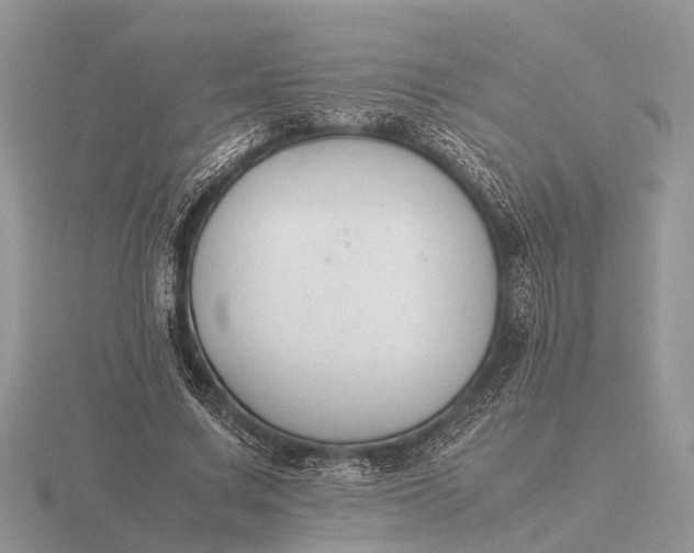 X0000116270683200912141329