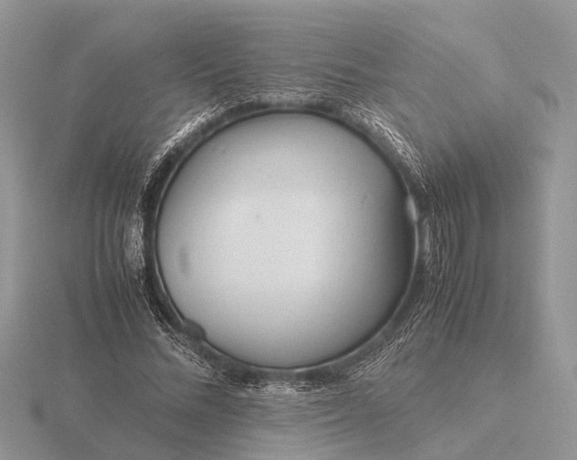 X0000116270684200912141328