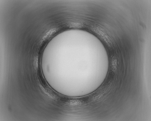 X0000116270686200912141328