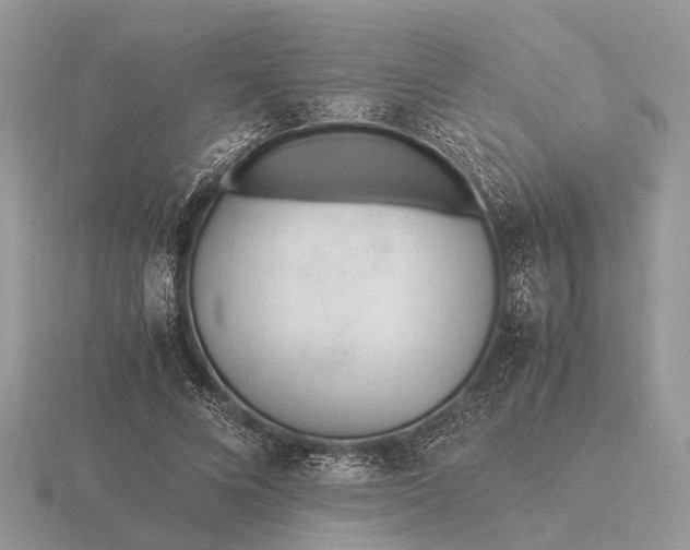 X0000116270688200912141328