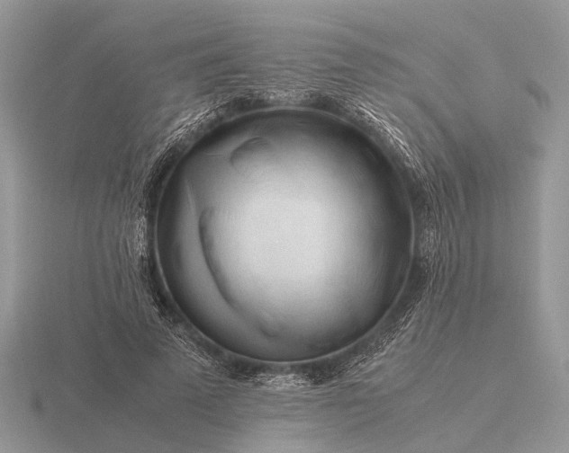 X0000116270689200912141328