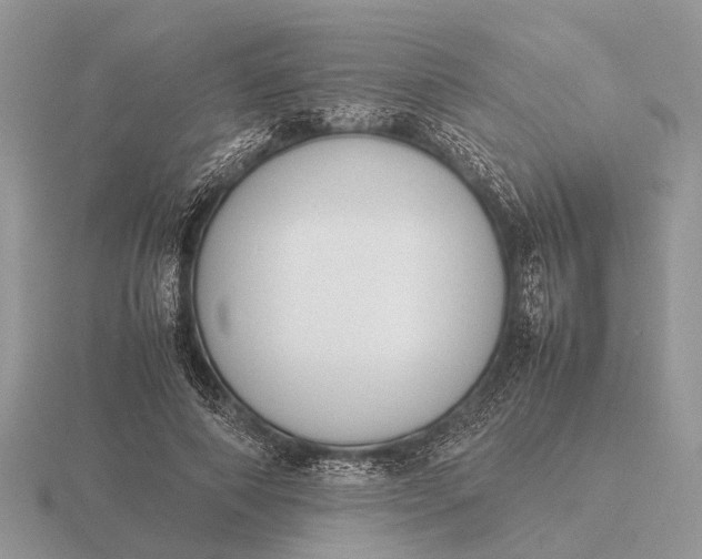X0000116270690200912141328