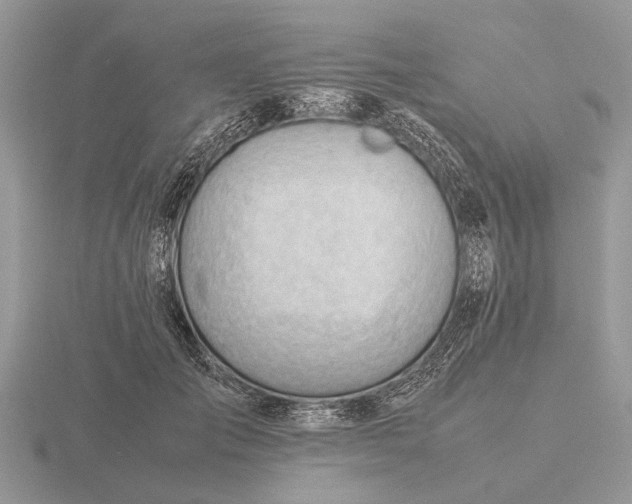X0000116270701200912141328