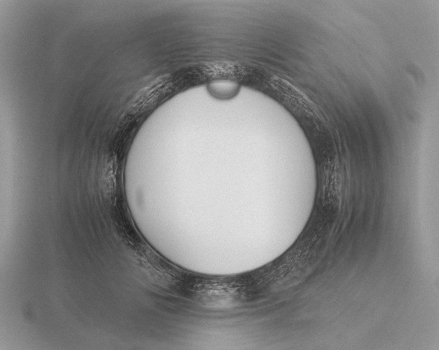 X0000116270702200912141328