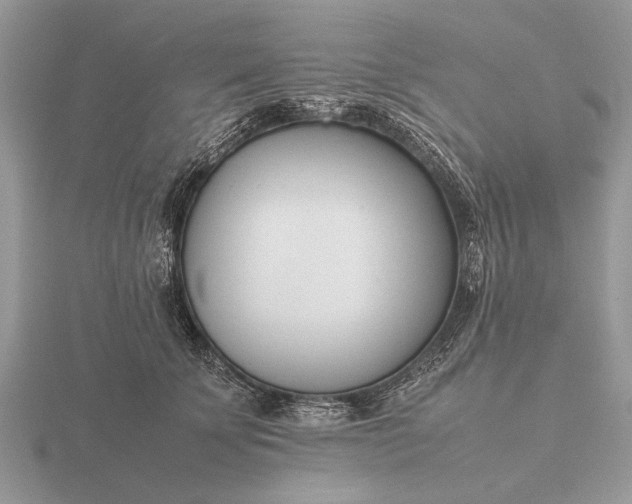 X0000116270707200912141328