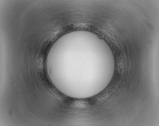 X0000116270708200912141328