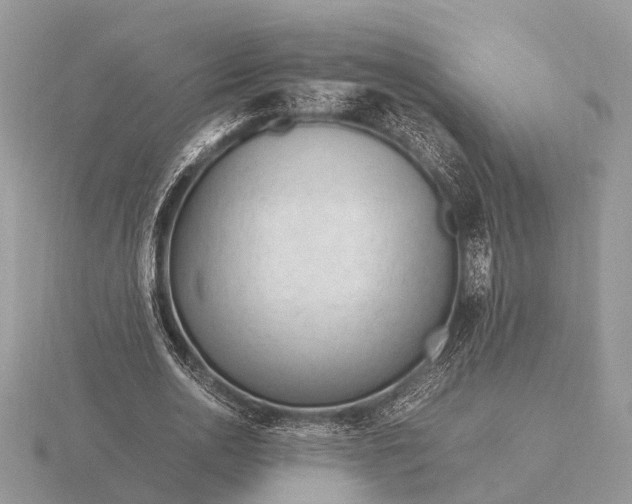 X0000116270726200912141327