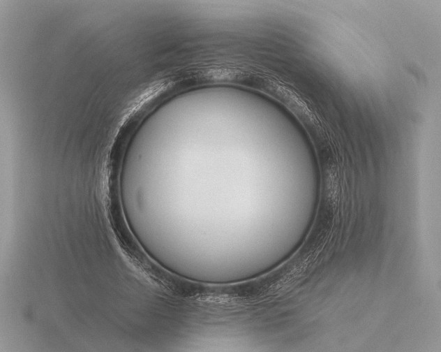 X0000116270730200912141328