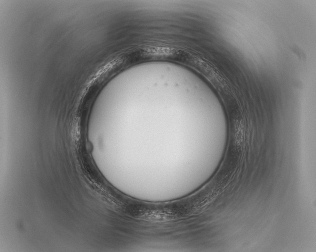 X0000116270731200912141328