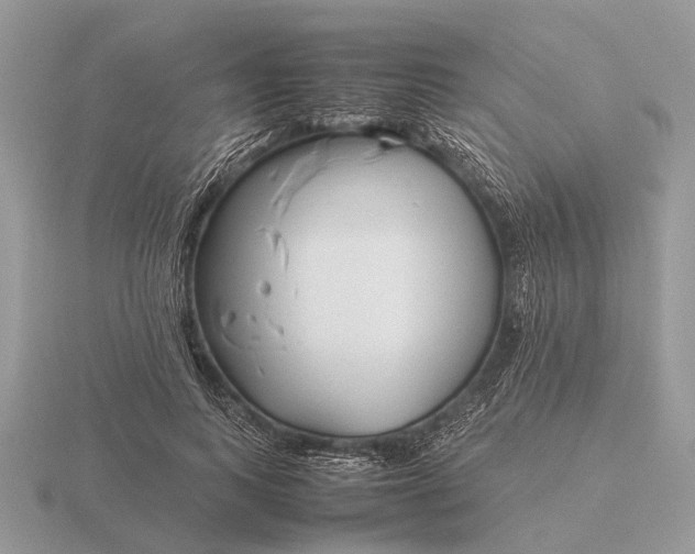 X0000116270743200912141328