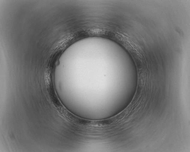 X0000116270746200912141328