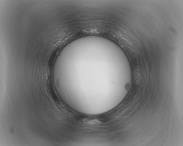 X0000116270747200912141328