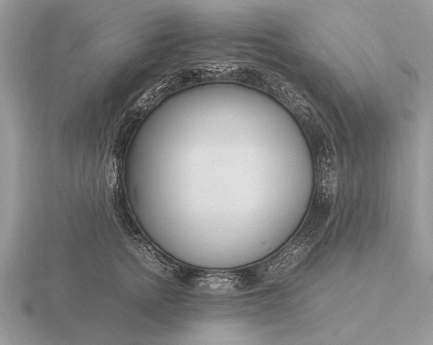 X0000116270758200912141328