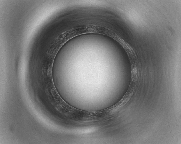X0000116270765200912141328