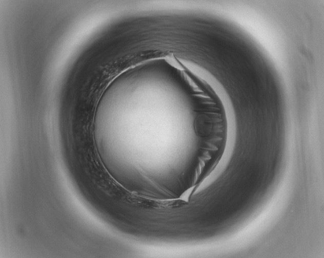 X0000116270766200912141328