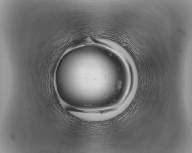 X0000116270769200912141327