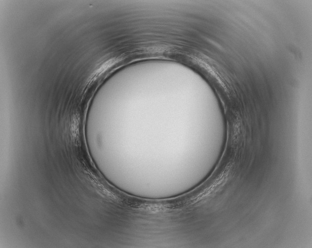 X0000116270778200912141327