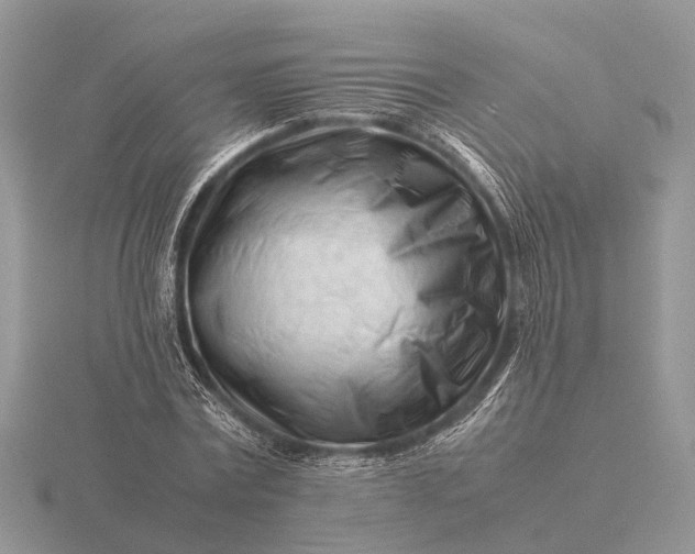 X0000116270779200912141327