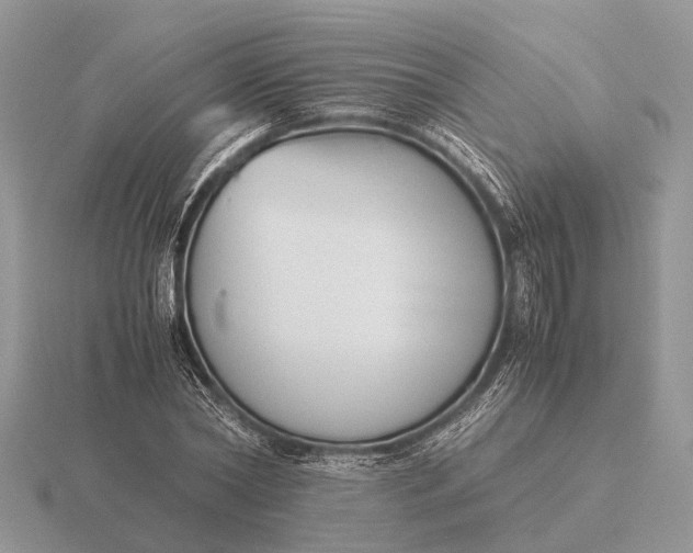 X0000116270782200912141327