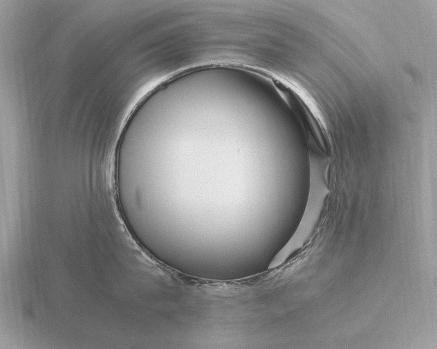 X0000116270815200912141327