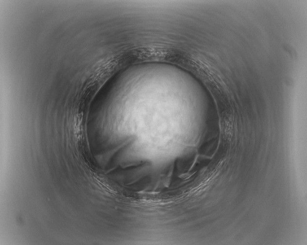 X0000116270818200912141326