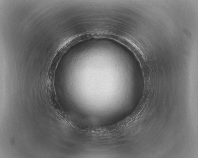 X0000116270823200912141326