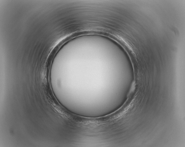 X0000116270830200912141326